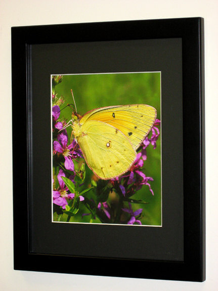 An Example of a Framed Photo